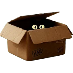 Two eyes peeking out of a cardboard box
