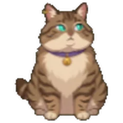 The same tabby, rounder, with a collar